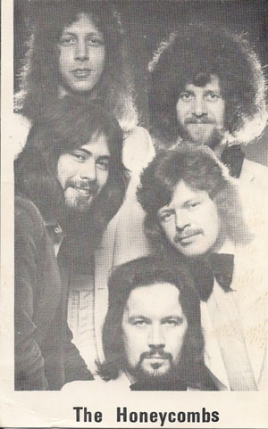 The Honeycombs line up in 1974. Newspaper picture.